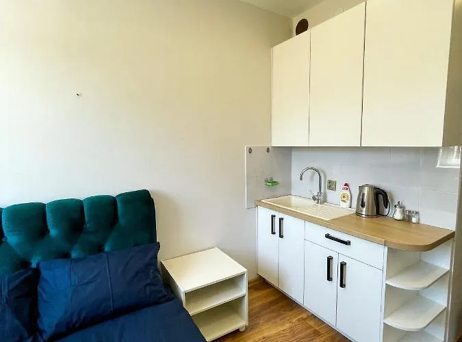 公寓 Tvarkingas Butas Klaipedos Centre 克莱佩达